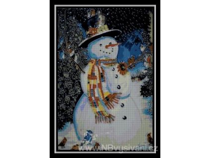 IC7378-2020 Snowman Plate (Aida 18ct)