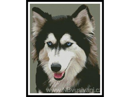 IC2299-10281 Siberian Husky (Aida 18ct)