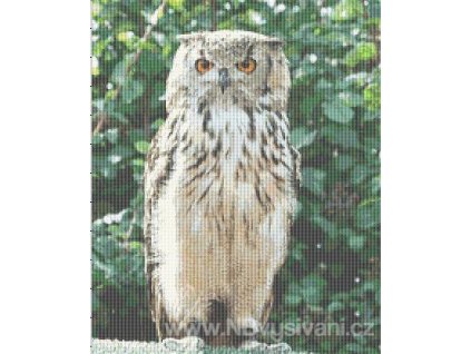 IC11421-RCIN025 Standing Owl (předloha)