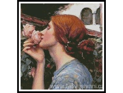 55679 ic11527 11494 my sweet rose detail predloha