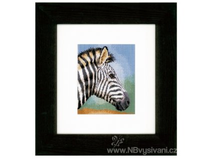 VE-PN0150310 Zebra