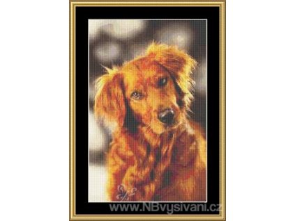 MS-PETS05 Walter (Aida 18ct)