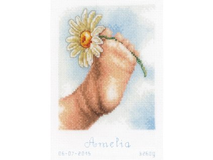 VE-PN0155063 Sampler k narození dítěte