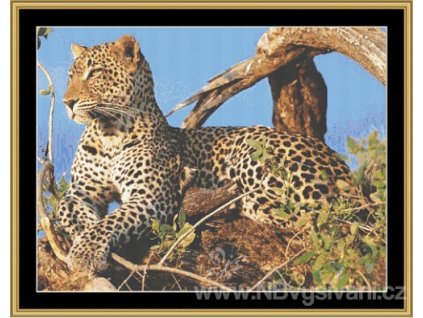 WKD - Na stráži (Aida 18ct)