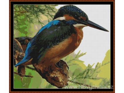 WKD - Ledňáček (Aida 18ct)