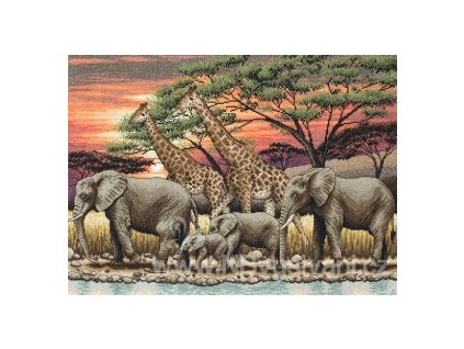 AM5678000-01026 African Sunset