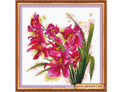 AA-AH003 Orchidej