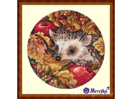 ME-K31 Ježek a jablka