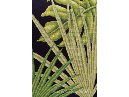 RT-M446 Palmové listy I.