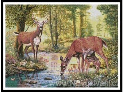 64019 ic10449 11360 woodland stream predloha