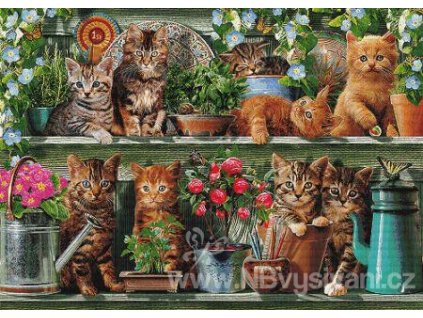IC21866 Kitchen Cats (Lugana 25ct)