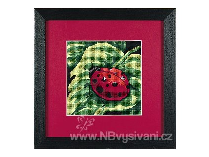 65048 7170 ladybug beruska