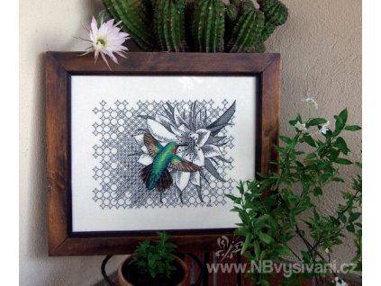 AJ-Hummingbird