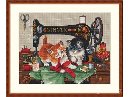 ME-K70 Hrající si kočky