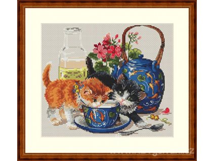 ME-K66 Kočky a šálek mléka