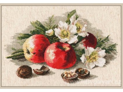 OV-620 Zátiší s jablky