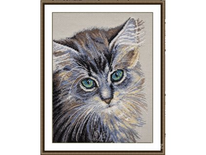 OV-742 Kočičí pohled