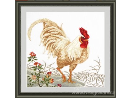 OV-778 Bílý kohout