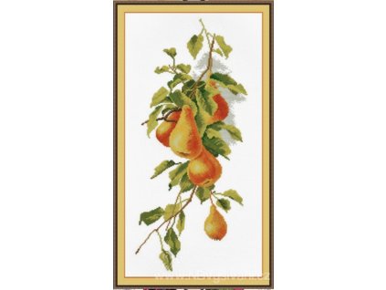 OV-768 Kompozice s hruškami