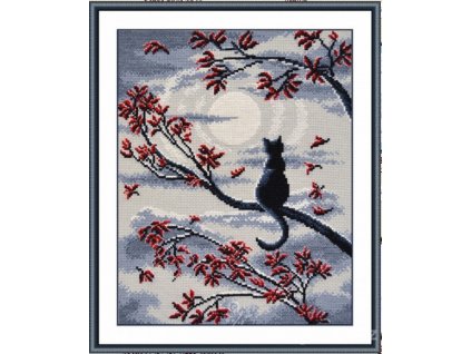 OV-865 Kočka při úplňku