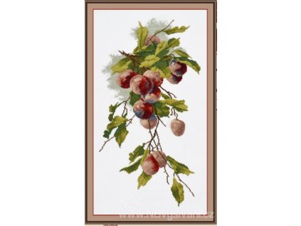 OV-739 Kompozice se švestkami