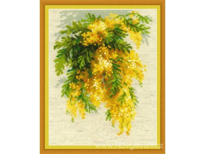 RIO-1615 Mimosa