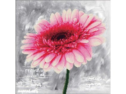 GR-NW450.018 Gerbera