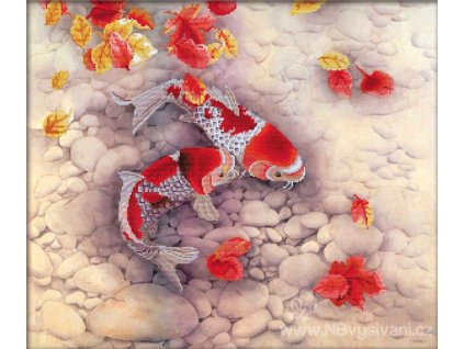 GR-NW750.020 Koi kapři