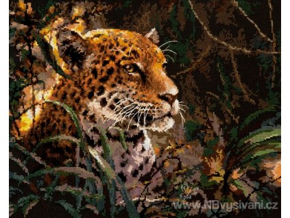 CHI63-06 Jaguár
