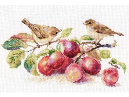 AL5-17 Pěnice a švestky