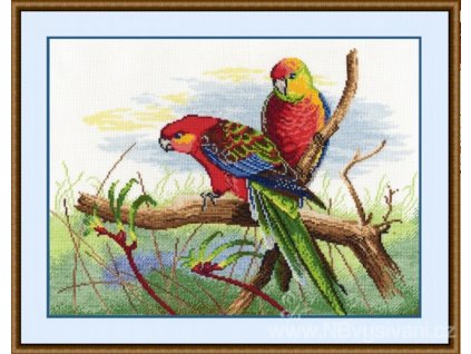 OV-509 Rosely pestré