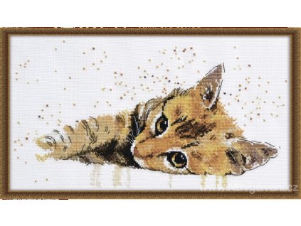 OV-929 Odpočívající kotě