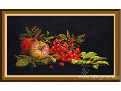 OV-771 Krása podzimu