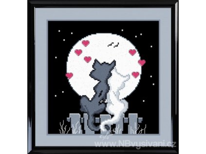 OV-477 Zamilované kočky