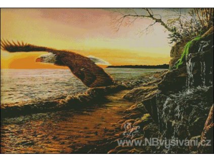 Superior Bald Eagle (Aida 18ct)