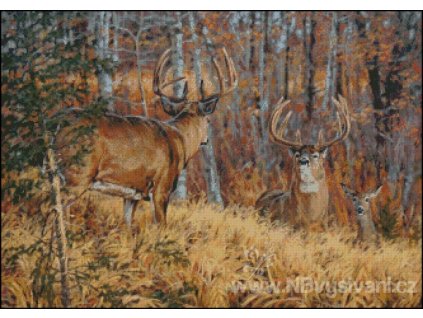 Place Your Bets (Aida 18ct)