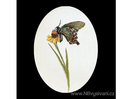 THG-1020A Motýl na květu (Aida)