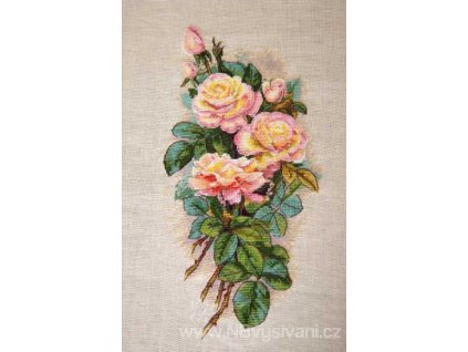 ME-K67B Růže (Belfast)