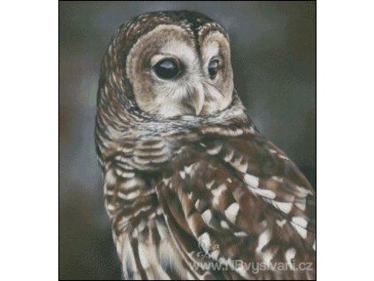 A Quiet Glance (předloha)