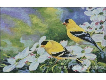 Spring Delight (Aida 18ct)