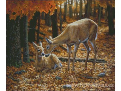 Autumn Innocence II (předloha)