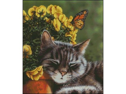 Afternoon Nap (předloha)