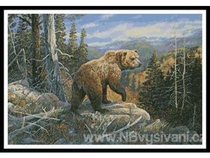 IC3103-10452 Grizzlies Domain (Aida 18ct)