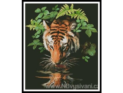 IC25102-13229 Tiger Reflection (Aida 18ct)