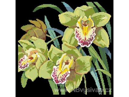 IC9639-1637 Orchids (předloha)