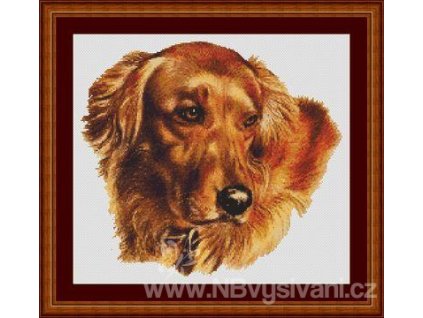 IC8795-(040-002) Amber (Aida 14ct)