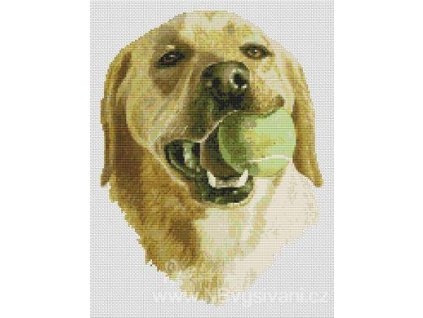 IC8799-(040-007) Yellow Lab with Ball (Aida 14ct)