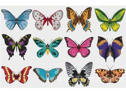 IC11745 Set of Butterflies (předloha)
