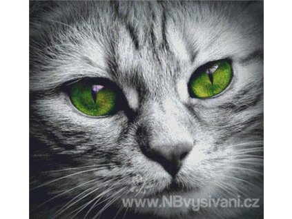 IC21199 Cat Face (předloha)