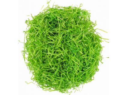 AP1953 Tráva dekorační dřevěná, zelená (50g)